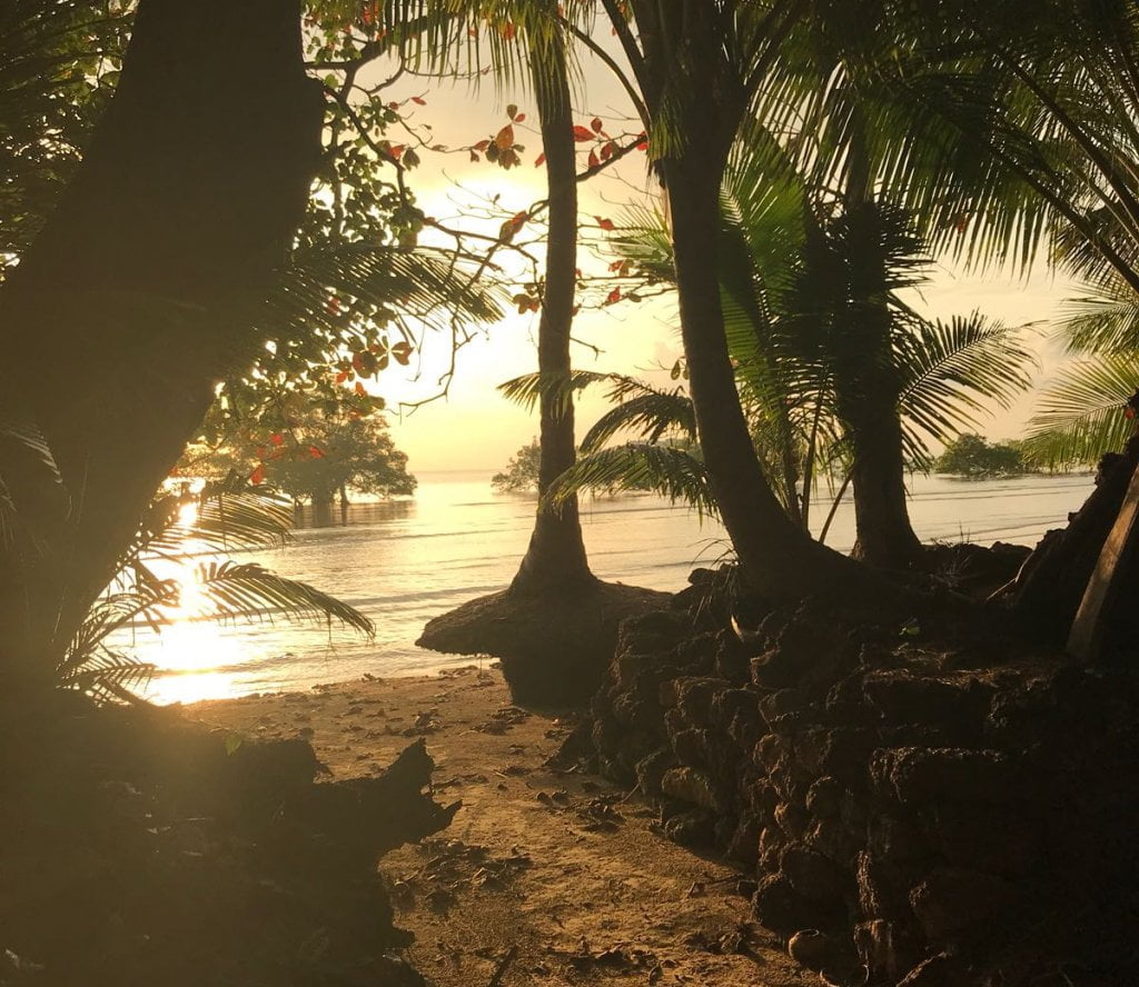 banner koh siboya banner koh siboya
