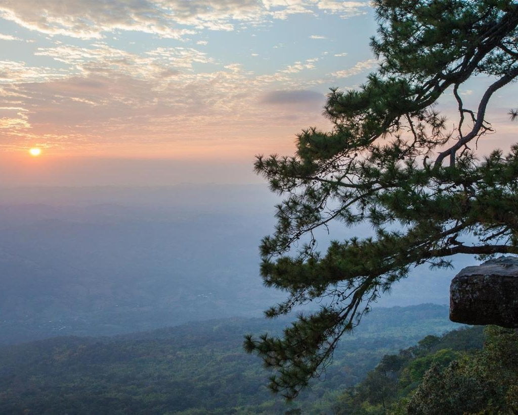 banner loei () banner loei ()