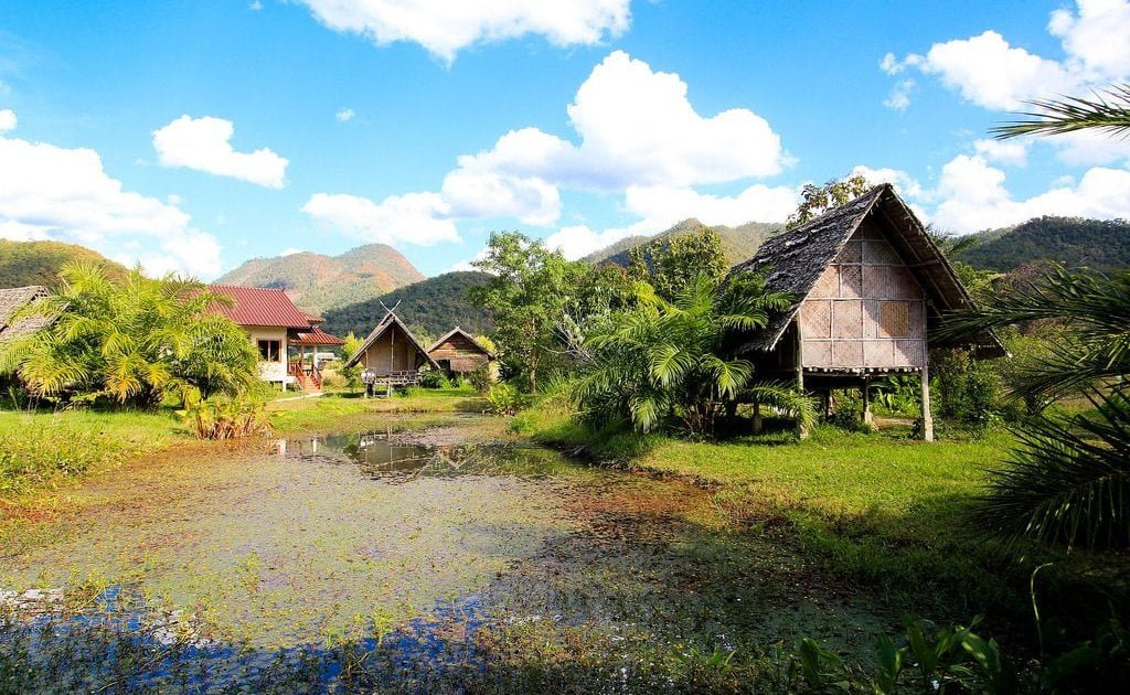 banner pai () banner pai ()