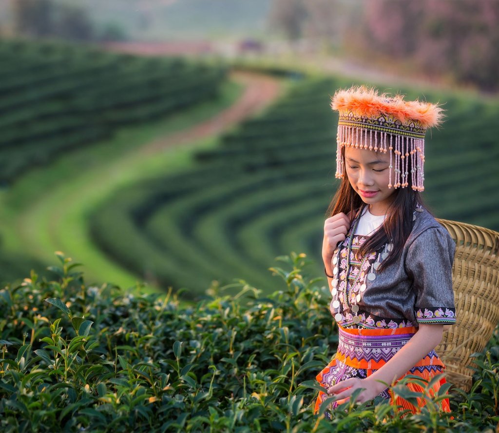 hill tribe hill tribe