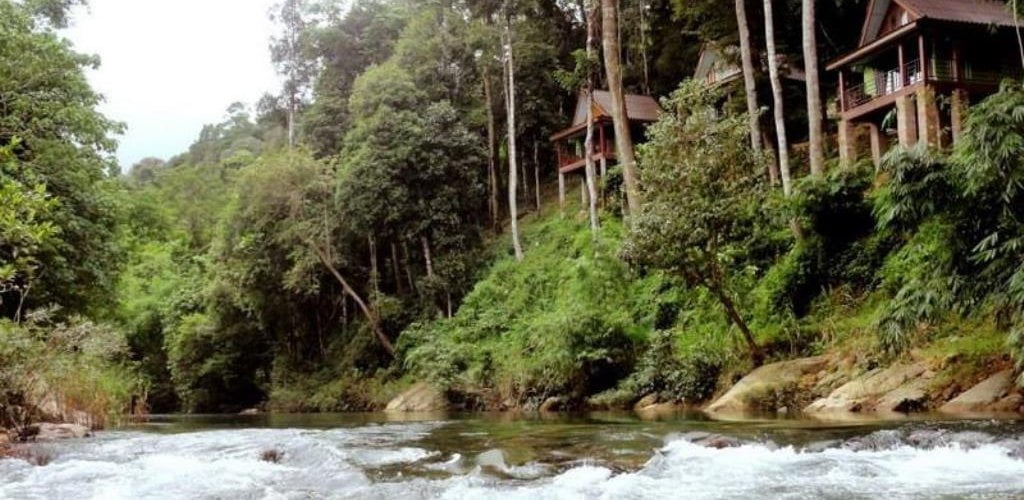 khao sok rainforest resort