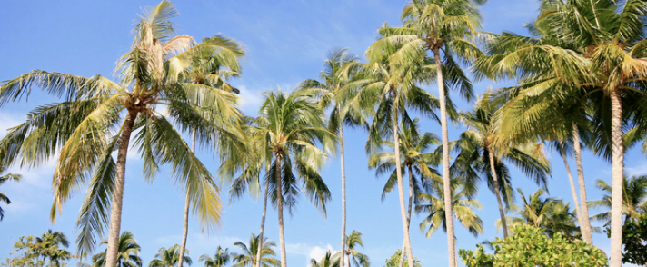 koh chang une ile thailandaise tranquille pour echapper a la foule touristique