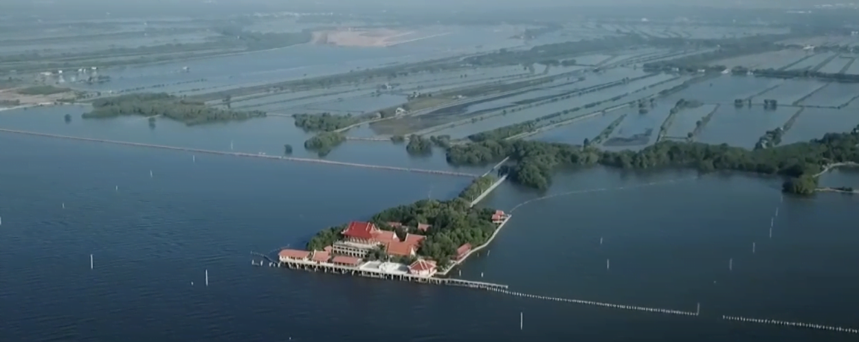 la thailande le retour de la mangrove pour empecher la montee des eaux