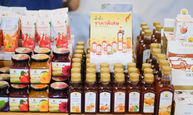 le royal project decouvrez cette initiative royale qui change des vies le royal project decouvrez cette initiative royale qui change des vies