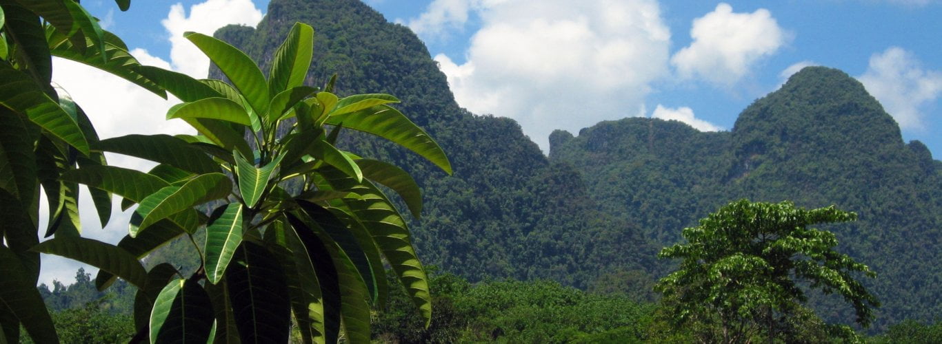 les parcs nationaux ne pas manquer