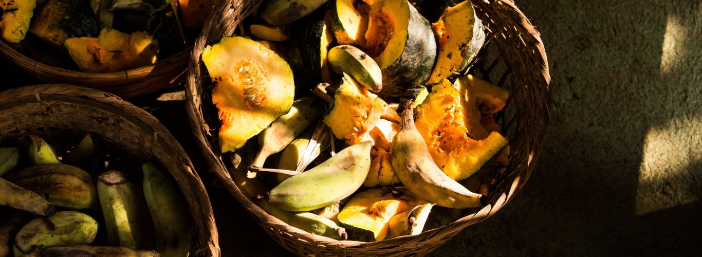 pourquoi dire non au trekking avec les lphants