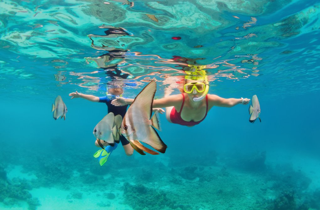 snorkeling snorkeling