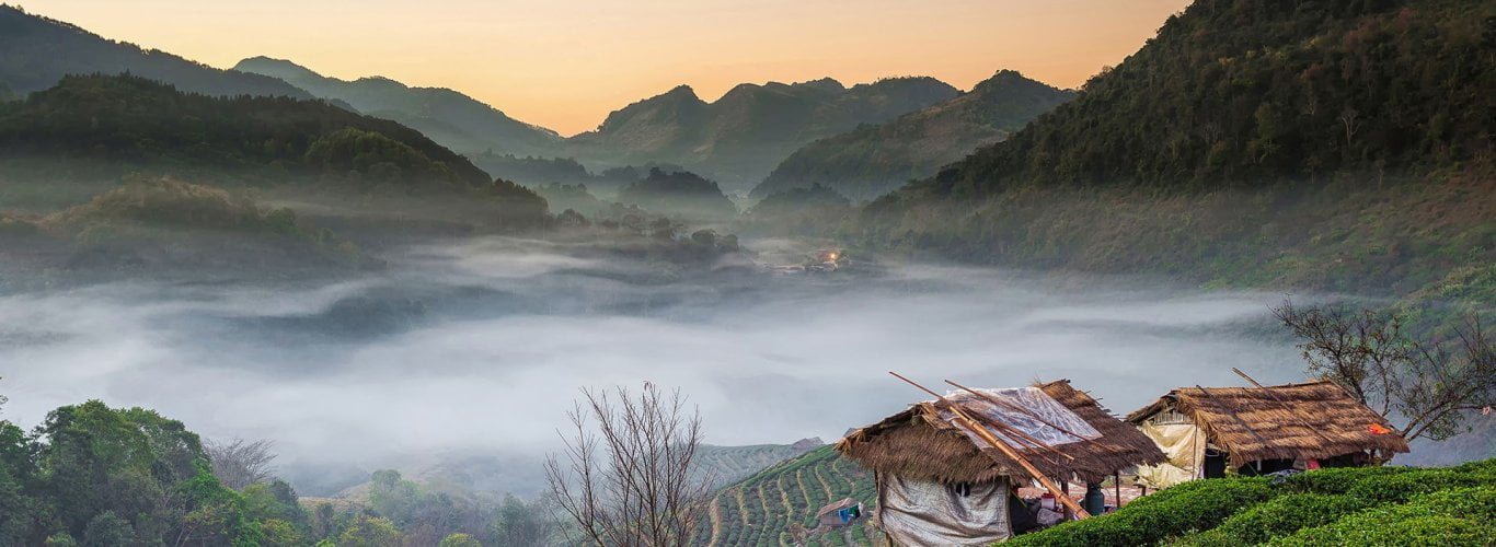 the sea of mist the sea of mist